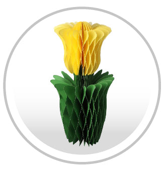 Decorazioni vetrine e negozio