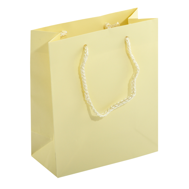 Laminated Mini Shopper