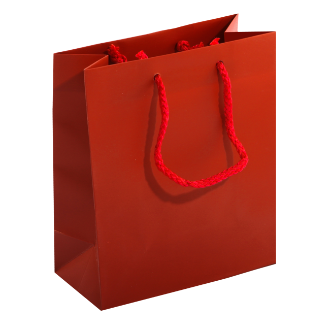 Laminated Mini Shopper