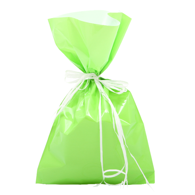 Sacchetto Regalo Opaco