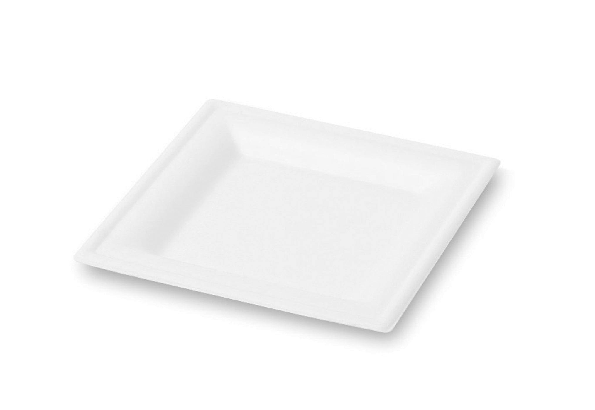 Square Classic Pulp Fiber Dinner Plate