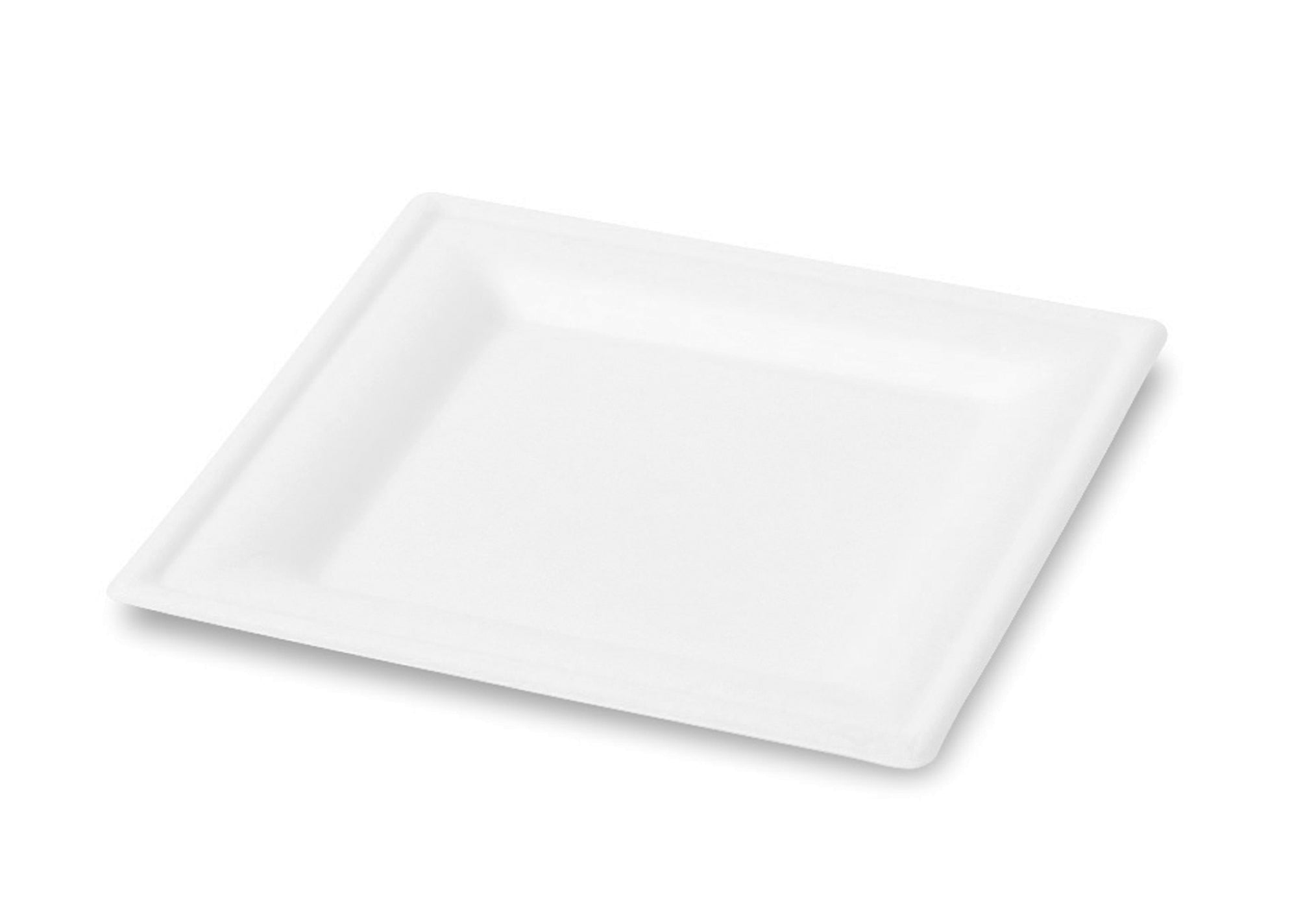 Square Classic Pulp Fiber Dinner Plate