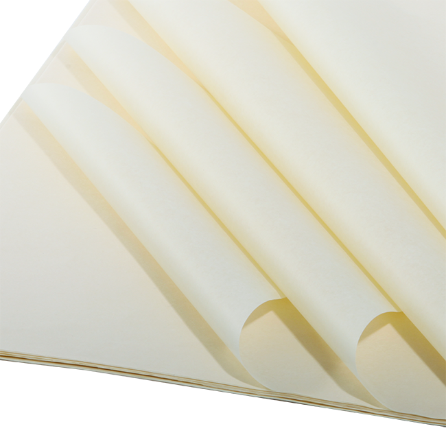 Fogli Carta Velina Color