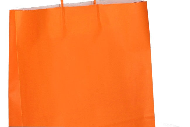 Rainbow Color Paper Shopper