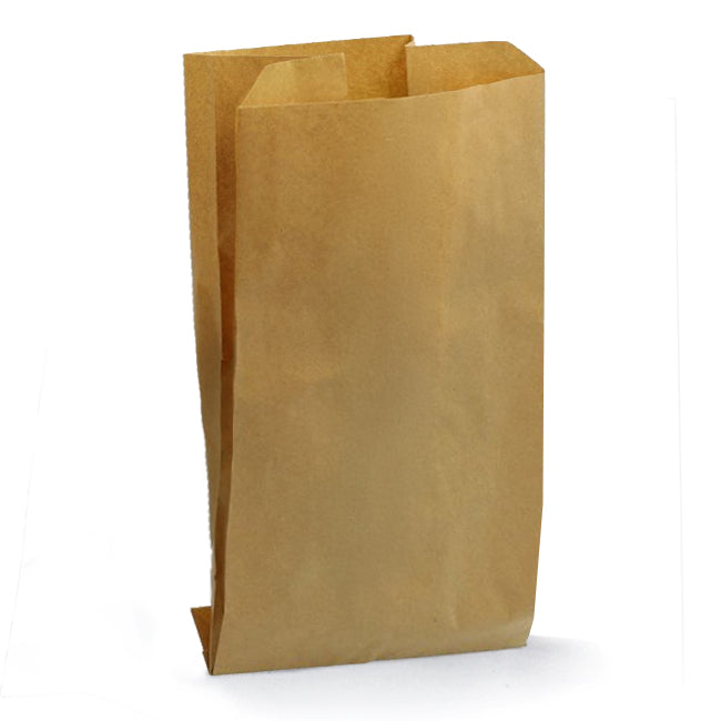 Brown Kraft Bag