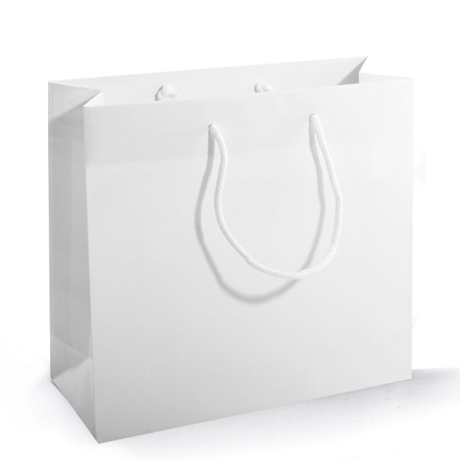 Glossy Paper Shopper