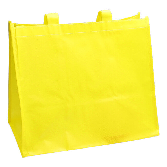 Borsa Plastificata in Tnt