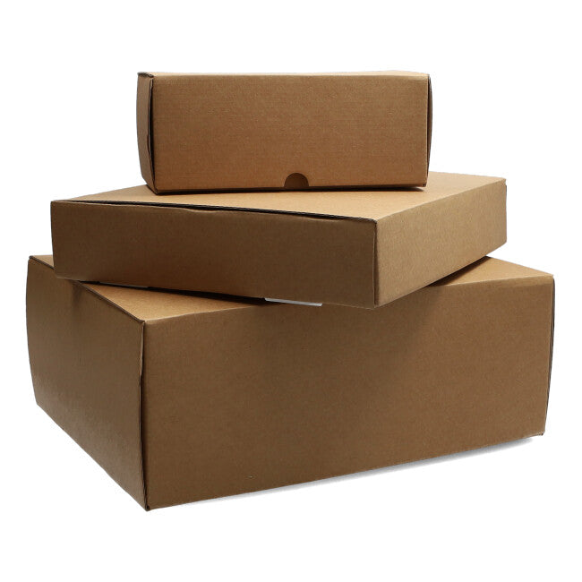 Double-Sided Self-Assembling Shipping Box